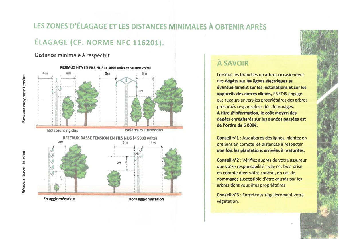 Enedis vous informe sur l’élagage