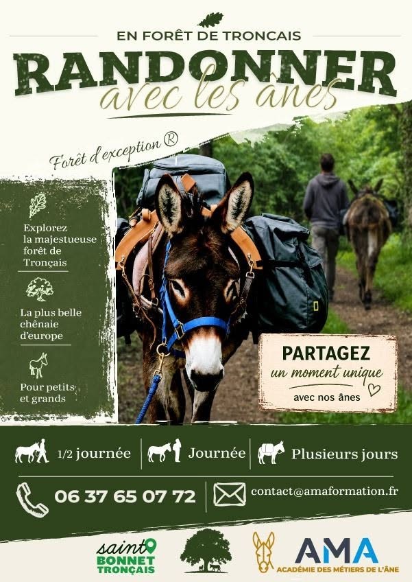 Randonner avec les ânes